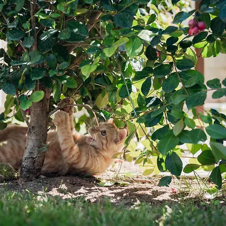 Masseria Longa Boutique Hotel 4*