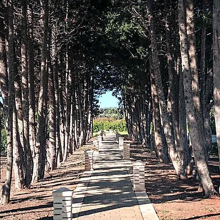 Masseria Longa Boutique 4* 奥特朗托